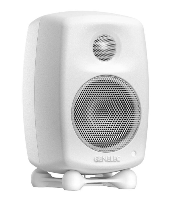 Genelec 8010AW - фото 1